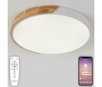 Потолочный светильник Scandinavian LED LAMPS 81182