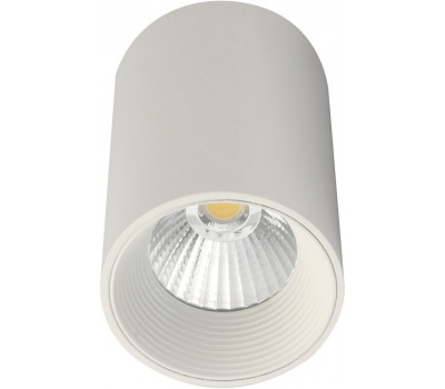 Точечный светильник 20003 20003SMU/01LED SWH Escada