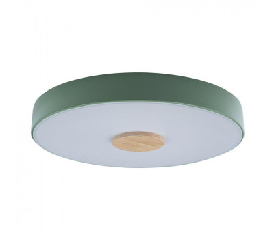 Потолочный светильник Axel 10003/24 Green Loft It