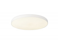 Потолочный светильник 1204 1204-LED48CL