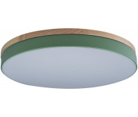 Потолочный светильник Axel 10001/36 Green