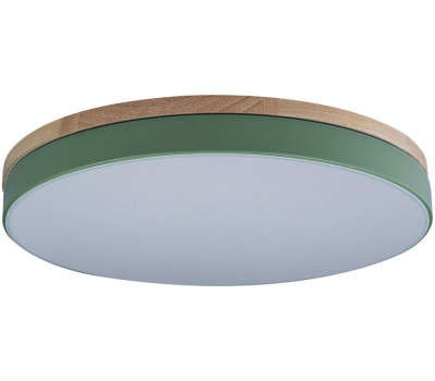 Потолочный светильник Axel 10001/36 Green