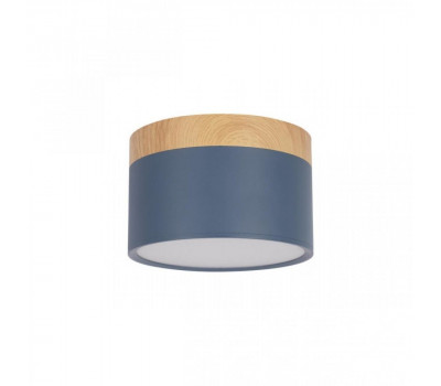 Точечный светильник Grape 10162 Blue