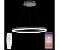 Подвесной светильник LED LIGHT LED LAMPS 81295