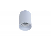 Точечный светильник Flixton LDC 8053-A SS-D85*H115 WT
