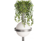 Настенный светильник Jardin 10121W/B Dark grey