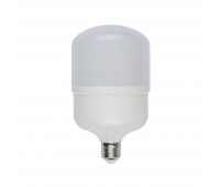 Лампочка светодиодная  LED-M80-25W/NW/E27/FR/S картон