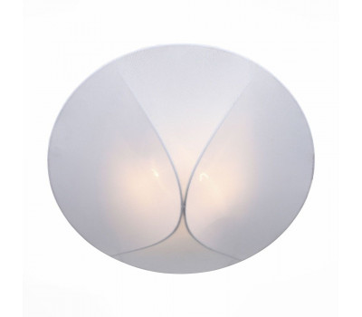 Потолочный светильник Tonico SL360.552.02 ST Luce