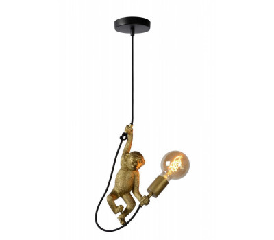 Подвесной светильник Extravaganza Chimp 10402/01/30 Lucide