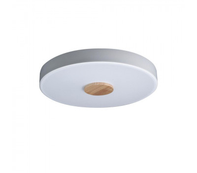 Потолочный светильник Axel 10003/24 White Loft It