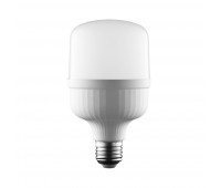 Лампочка светодиодная  LED-M80-50W/6500K/E27/FR/NR