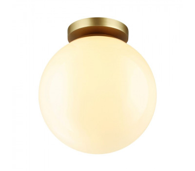 Потолочный светильник уличный Bosco 4248/1C Odeon Light Потолочный светильник уличный Bosco 4248/1C Odeon Light