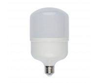 Лампочка светодиодная  LED-M80-30W/DW/E27/FR/S картон