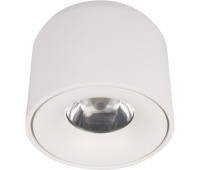 Точечный светильник Tictac 10219 White 4000K