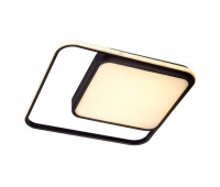 Потолочный светильник Led 10210/2LED
