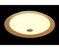 Потолочный светильник Euler CL815-PT50-G Потолочный светильник Euler CL815-PT50-G