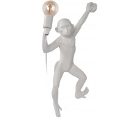 Настенный светильник Monkey 10314W/A