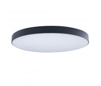 Потолочный светильник Axel 10002/48 Black
