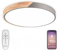 Потолочный светильник Scandinavian LED LAMPS 81184