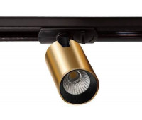 Трековый светильник  TR 3006 gold