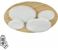 Потолочный светильник Pine 7734/60L