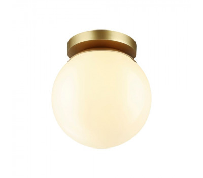 Потолочный светильник уличный Bosco 4247/1C Odeon Light