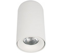 Точечный светильник Tictac 10220 White 3000K
