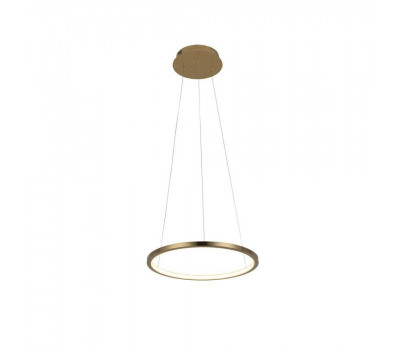 Подвесной светильник Ring 10014S Loft It