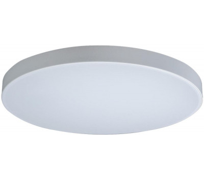 Потолочный светильник Axel 10002/48 White