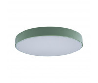 Потолочный светильник Axel 10002/24 Green