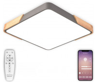 Потолочный светильник Scandinavian LED LAMPS 81413
