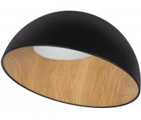 Потолочный светильник Egg 10197/500 Black