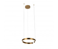 Подвесной светильник Ring 10013S