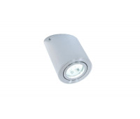 Точечный светильник Alesti  LDC 8060-D JP-D80*H130 SL