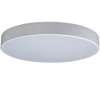 Потолочный светильник Axel 10002/24 White