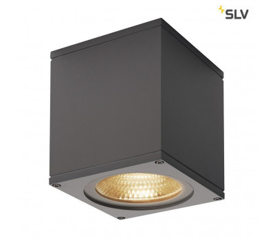 Потолочный светильник уличный Big Theo 234535 SLV