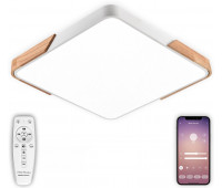Потолочный светильник Scandinavian LED LAMPS 81411