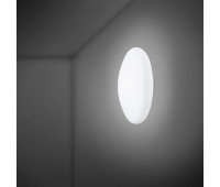 Настенно-потолочный светильник Lumi F07G1101