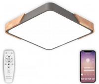 Потолочный светильник Scandinavian LED LAMPS 81412
