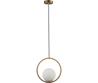 Подвесной светильник Glob LOFT2600-A