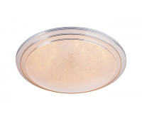 Потолочный светильник Led 10268/S LED