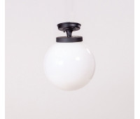 Потолочный светильник уличный GLOBO S 88205SA Bl