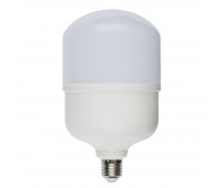 Лампочка светодиодная  LED-M80-40W/DW/E27/FR/S картон