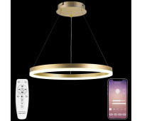 Подвесной светильник LED LIGHT LED LAMPS 81296